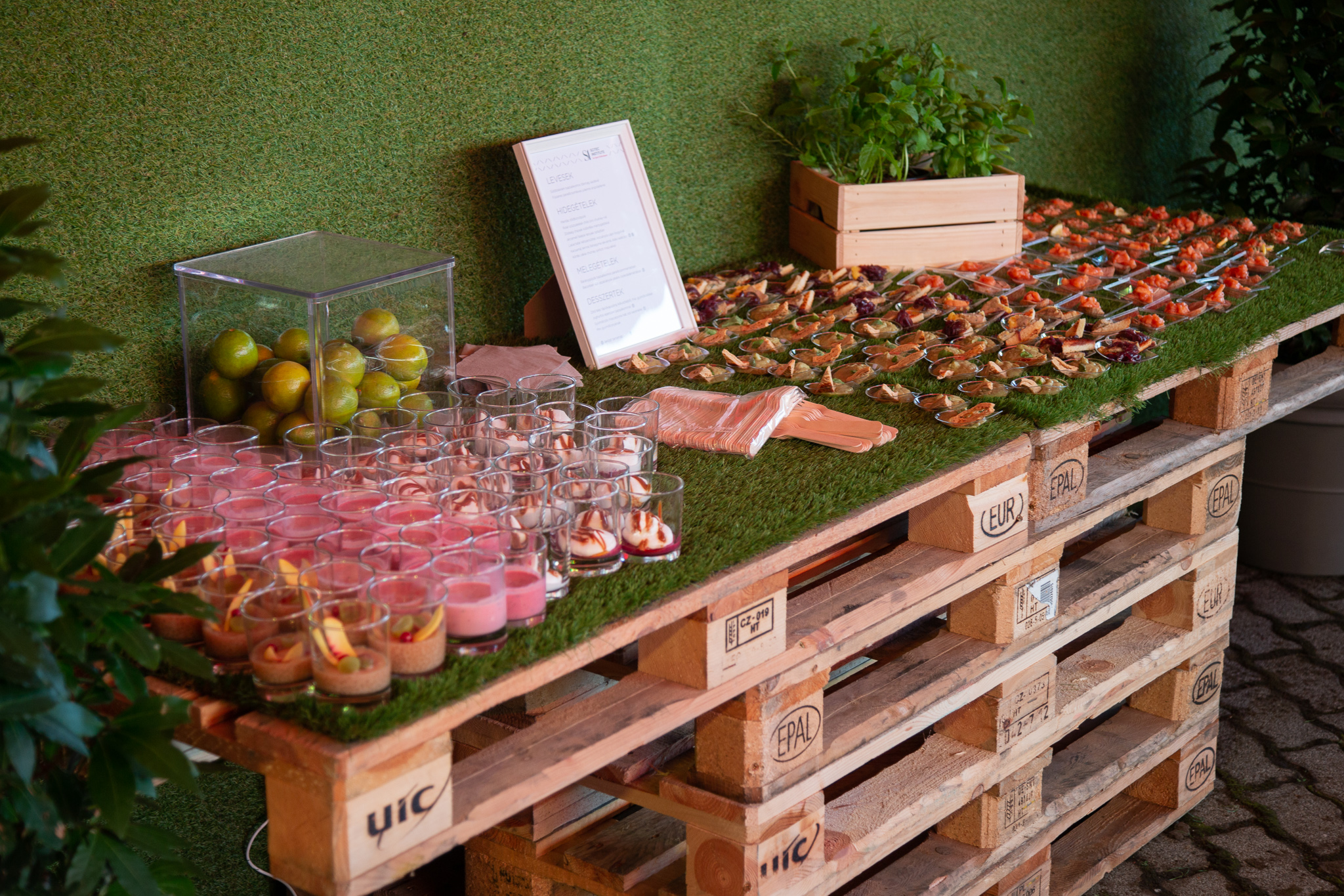 Scitec Nutrition exkluzív ügyfélparty